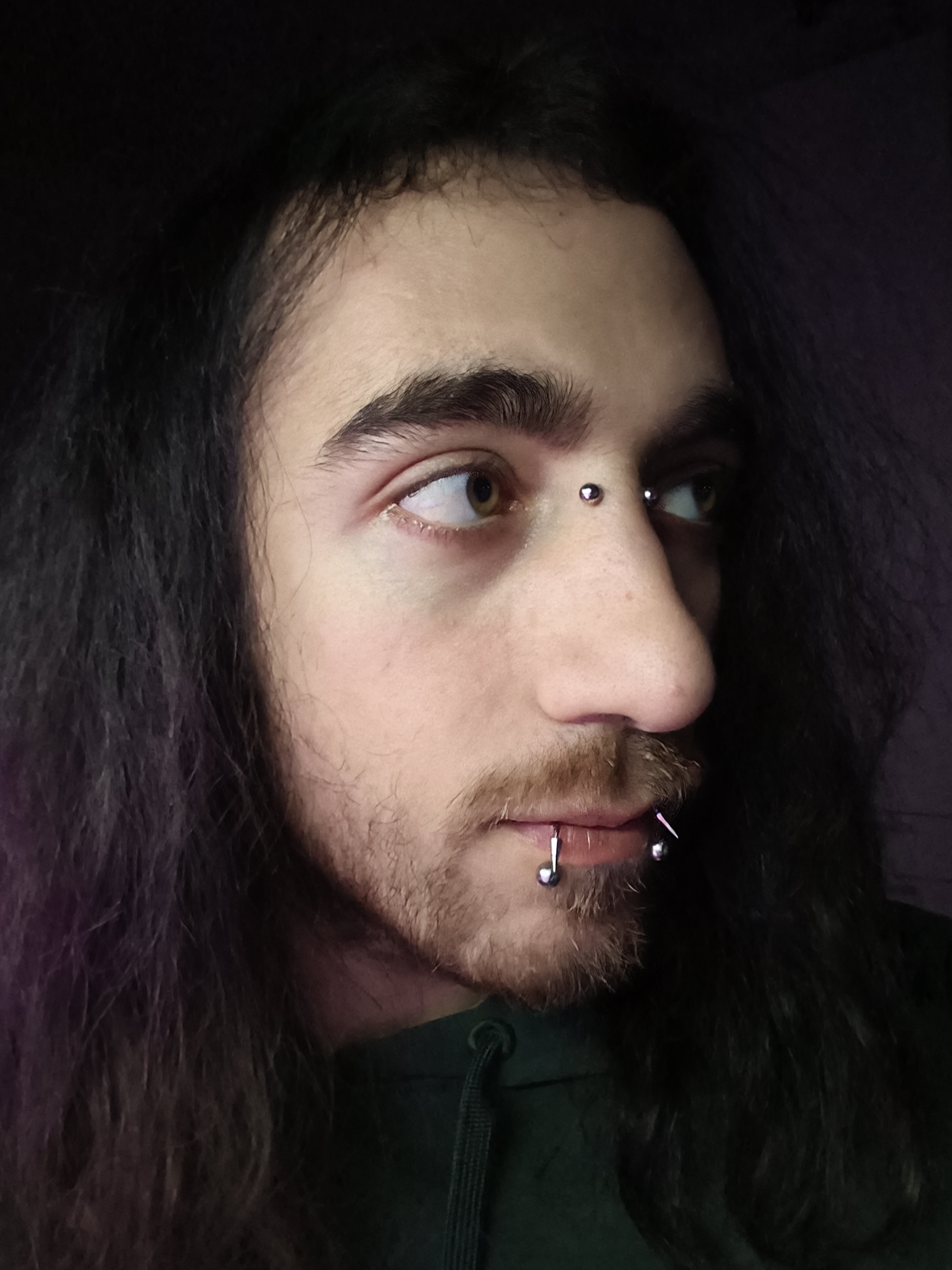 Matteo Catalano - Webspertilio